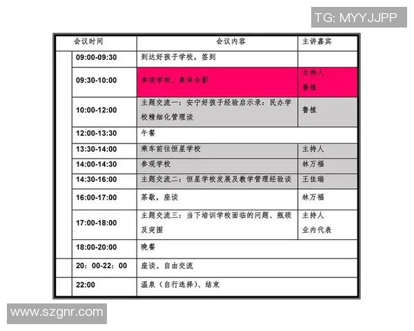 林某某的足球明星之路与辉煌成就全解析